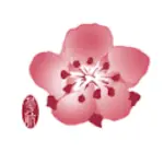 China Airlines Cargo