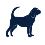 Hound Express